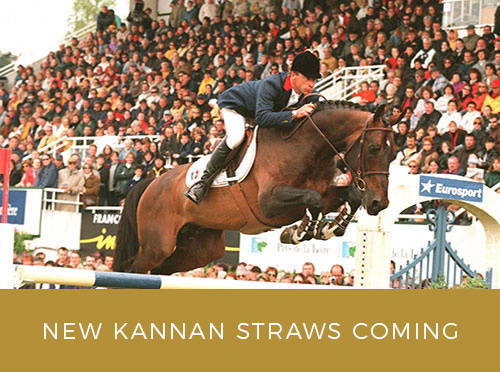 kannanV@-640x4802