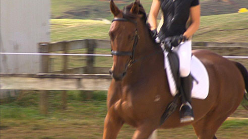 Picture-11