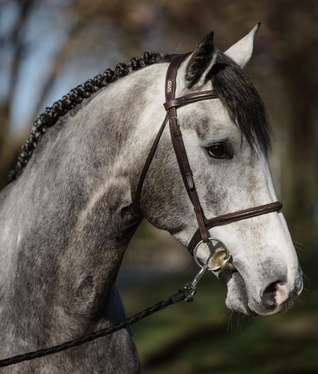 Austin Headshot_Cropped