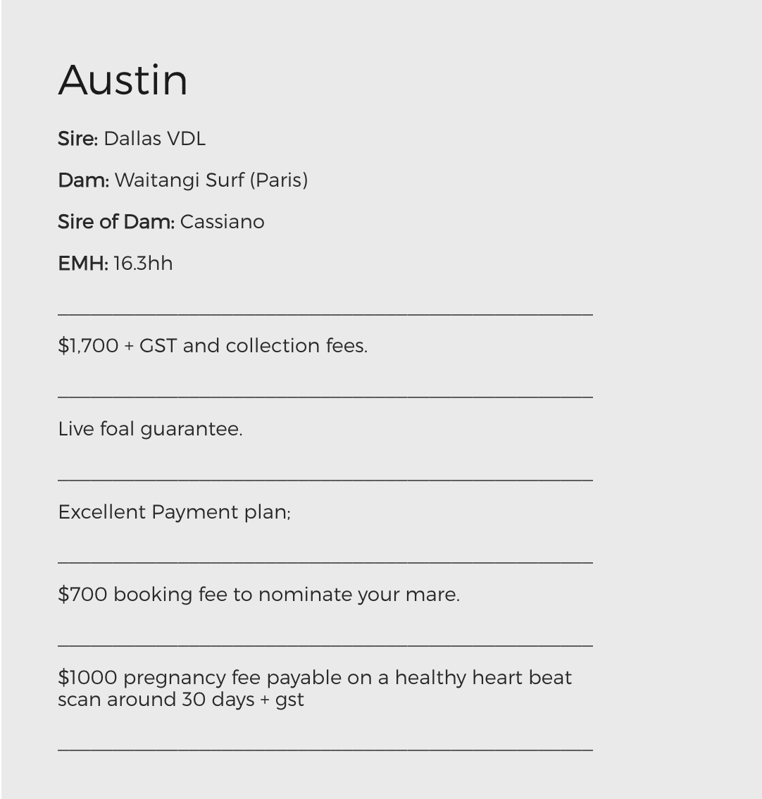 Austin Info
