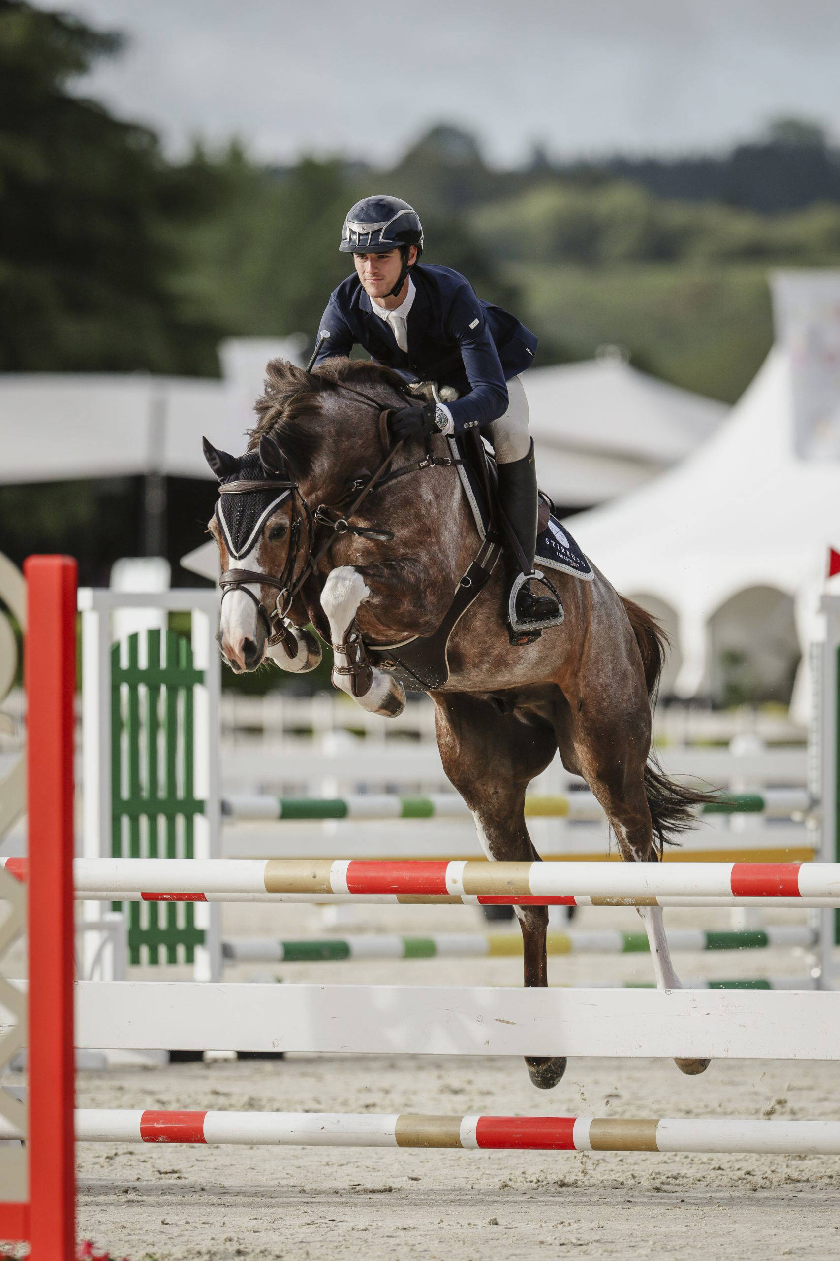 Ben & Balou Barbados