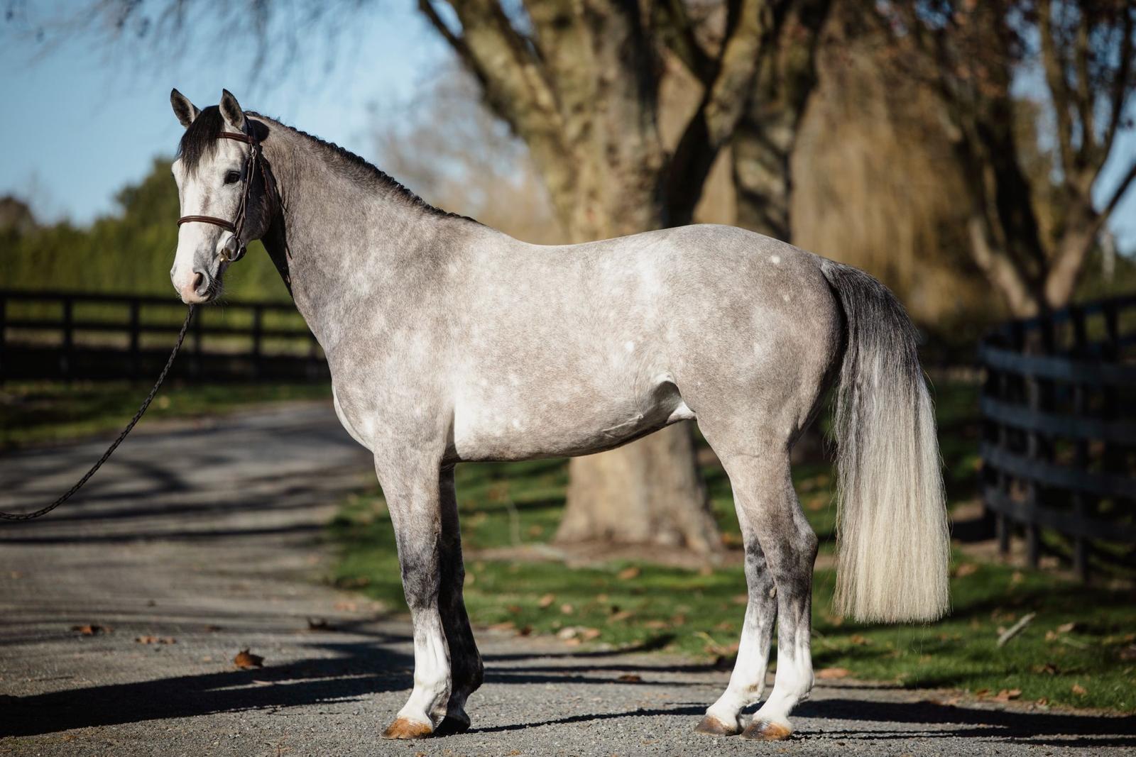 WhatsApp Image 2025-08-25 at 14.20.50 (1)