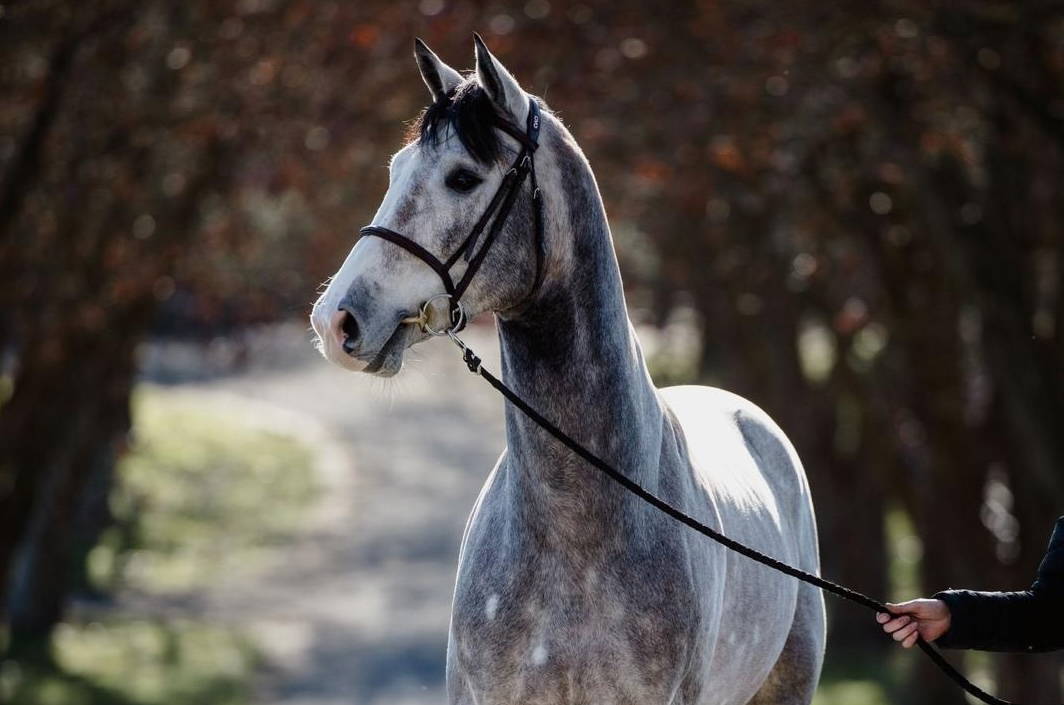 WhatsApp Image 2025-08-25 at 14.20.50 copy